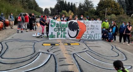 Ante el colapso sanitario en Neuquén: los autoconvocados le acercaron un petitorio a Vizzotti