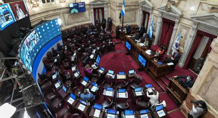 Tras la jura en el Senado, los nuevos legisladores ocuparon sus bancas