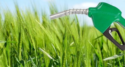 Alertan sobre los posibles problemas de la Ley de biocombustibles