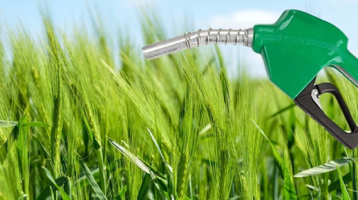Alertan sobre los posibles problemas de la Ley de biocombustibles
