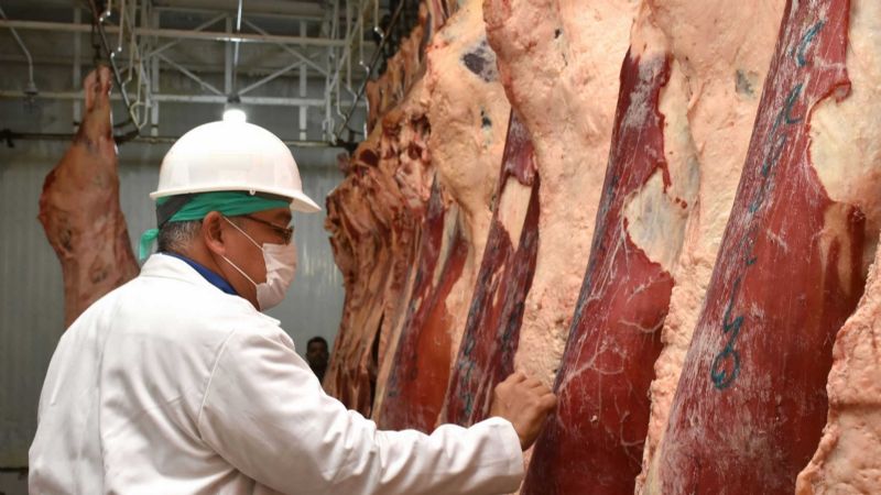 Carne: dos provincias piden a sus gobernadores a que el Estado nacional levante las restricciones