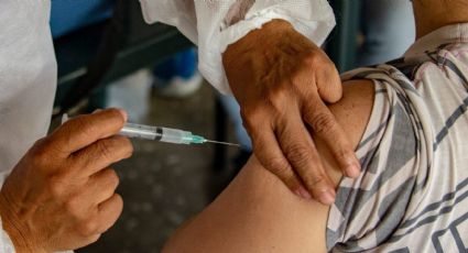 Combinación de vacunas: los ministros de Salud del país destacan que tiene más del 80% de adhesión