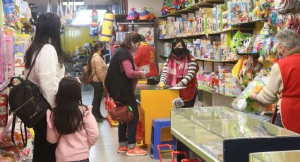 Gran expectativa en las jugueterías por las ventas del Día del Niño
