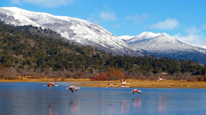 Algo nublado: cómo estará el clima en Neuquén, este 2 de diciembre