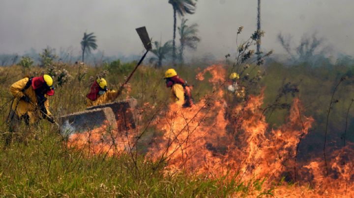 Los incendios forestales en Bolivia devastan la mayor reserva ecológica de la región