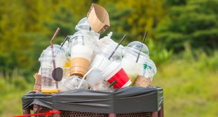 Reino unido le declara la guerra al plástico: prohibirán artículos desechables de un solo uso