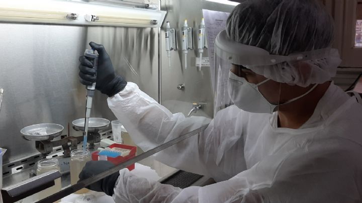 Hallaron la variante Delta del coronavirus en aguas residuales: qué dicen los expertos