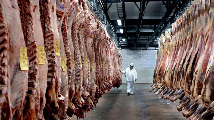 Cepo a la carne: la Mesa de Enlace debatirá medidas fuertes en contra de la decisión del Gobierno