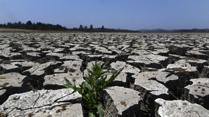 Por el impacto de la sequía y tras estudios del EMAE, la economía cayó un 4,2% en abril