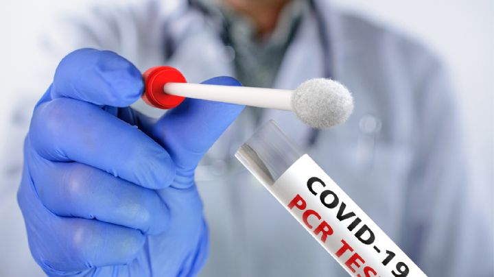 Coronavirus en Neuquén: la curva de contagios se mantiene en descenso