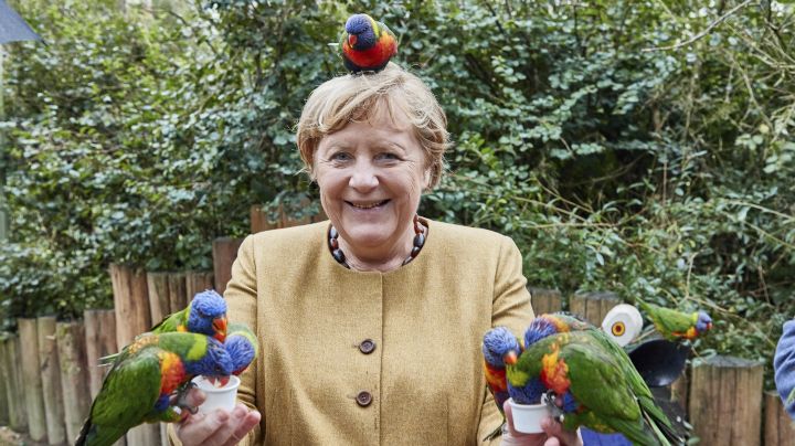 Angela Merkel fue picoteada por loros: la divertida imagen se hizo viral