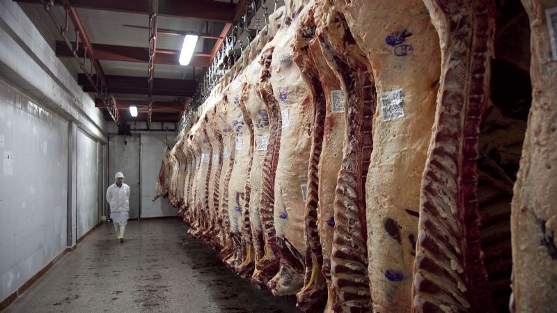 El Gobierno anunció cuándo levantará el cepo a la exportación de carne