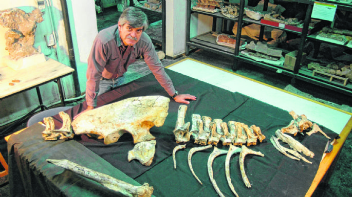 Se inauguró un laboratorio arqueológico y paleontológico en la ciudad de Neuquén