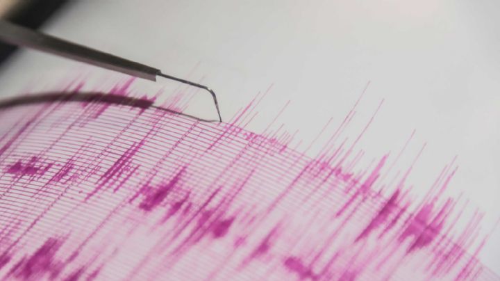 Fuerte terremoto de 7.0 grados sacude a México: se dispara una alerta de tsunami