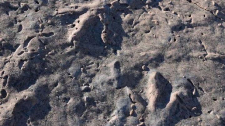 Hallaron huellas de dinosaurios en Picún Leufú