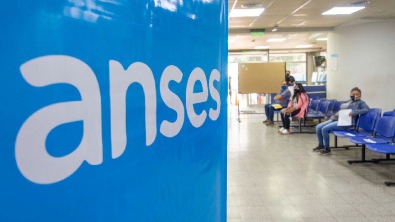 ANSES: quiénes cobran la próxima semana