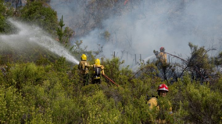 Incendios en Bariloche: brigadistas reclaman mejores condiciones laborales
