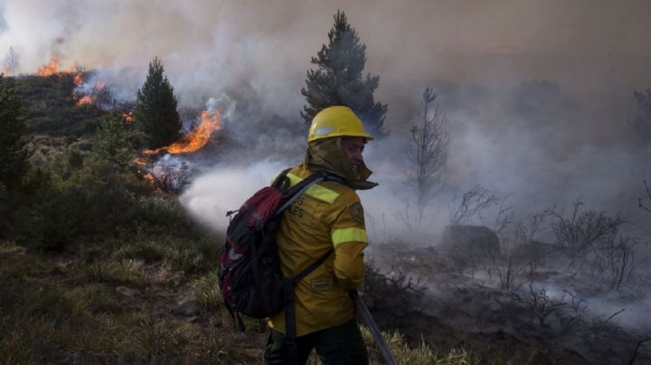 Integrante del Sistema Provincial de Manejo del Fuego se refirió a los incendios en Aluminé