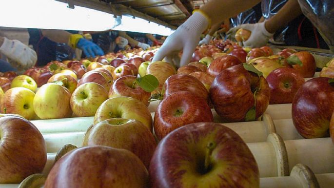 Sector frutícola: de cuánto será el aumento que acordó el sindicato con la cámara empresarial