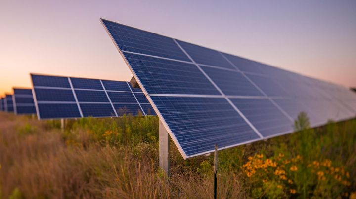 “Apostamos a la energía limpia”: avanza el parque solar de Neuquén Capital
