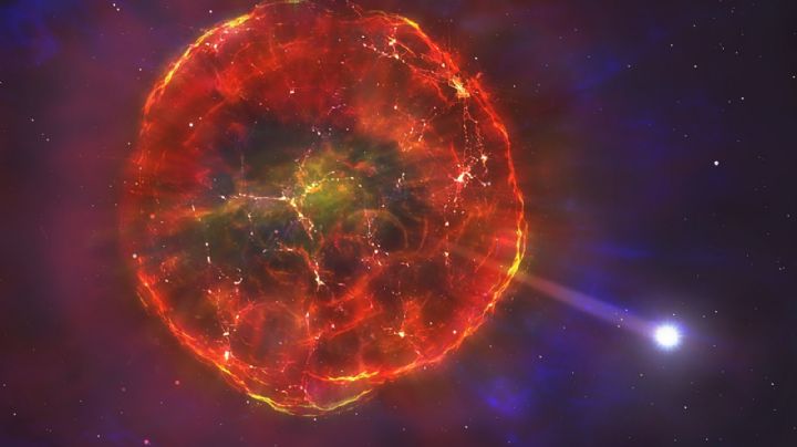 Histórico: pudieron observar por primera vez la explosión de una estrella supergigante roja