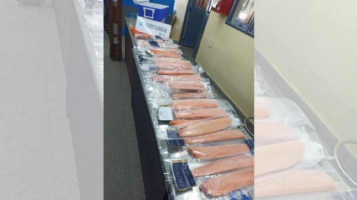 Detectaron 22 kilos de salmón que intentaban ingresar al país desde el paso Cardenal Samoré