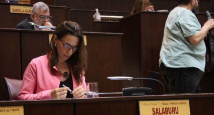 La diputada, Soledad Salaburu, propuso una serie de modificaciones a la ley provincial 2786