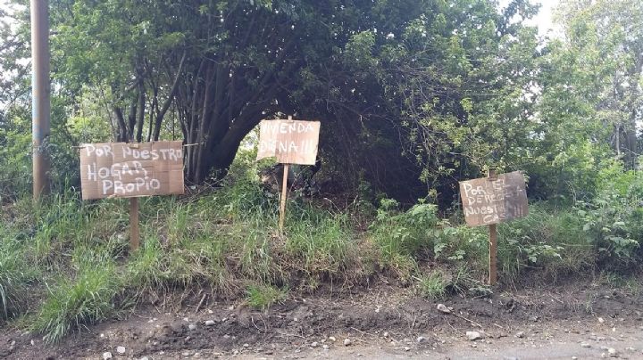 Siguen las tomas en Villa La Angostura: Una familia usurpó una parcela de un predio municipal