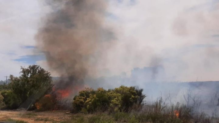 Entre ayer y hoy, se registraron tres grandes incendios de pastizales en Senillosa