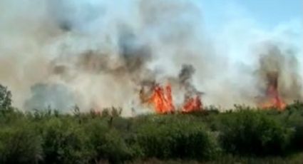 Un fuego descontrolado afectó más de 130 hectáreas en San Patricio del Chañar
