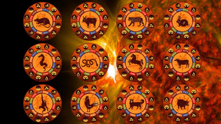 Horóscopo chino: qué depara el Zodiaco para la primera semana de diciembre