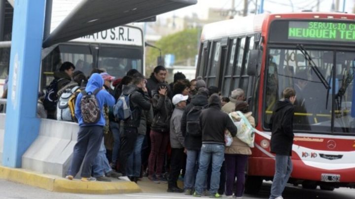 Dos empresas se adjudicaron el nuevo transporte público en Neuquén capital