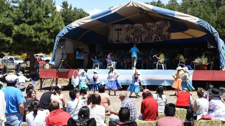 Productores mapuches y criollos se preparan para la Fiesta Provincial Intercultural Pulmarí