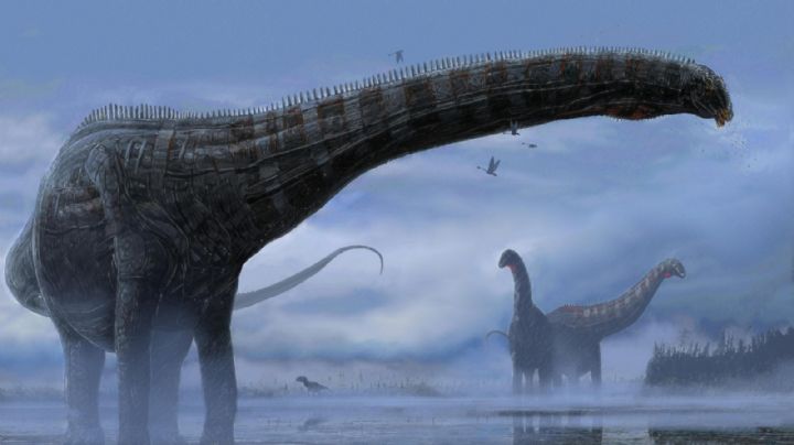 Los dinosaurios podrían haber tenido infecciones respiratorias: hallaron pruebas en restos fósiles