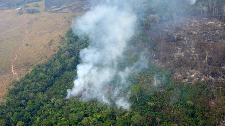 Por primera vez imputaron a una persona en Colombia por deforestación