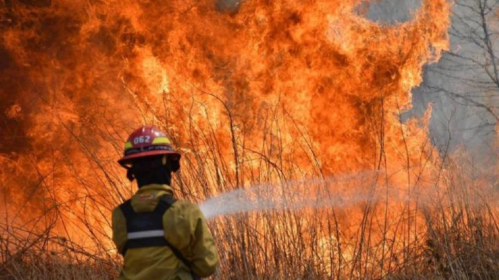 Corrientes, Misiones y Río Negro son las provincias con incendios activos