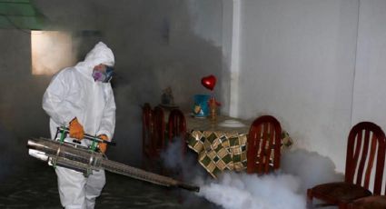 El Gobierno de Perú emitió la alerta epidemiológica por dengue: hay varios muertos