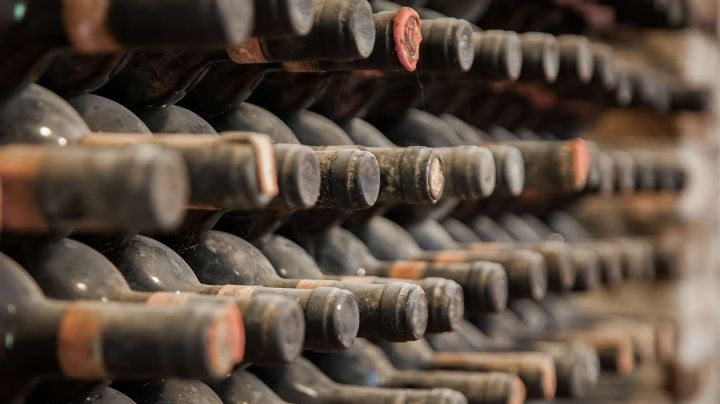 Bodegas acusan a Chile y a Estados Unidos de apropiarse de la marca Patagonia para sus vinos