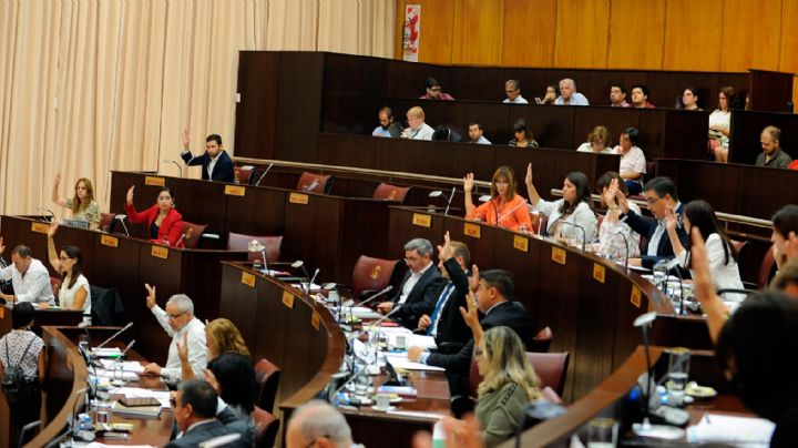 Legislatura de Neuquén: los funcionarios eligieron al vicepresidente segundo
