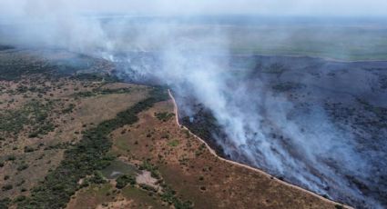 Los incendios en Corrientes se redujeron un 80% en tres días: qué dice el pronóstico