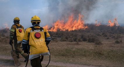Incendios en Corrientes: casi un millón de hectáreas fueron afectadas