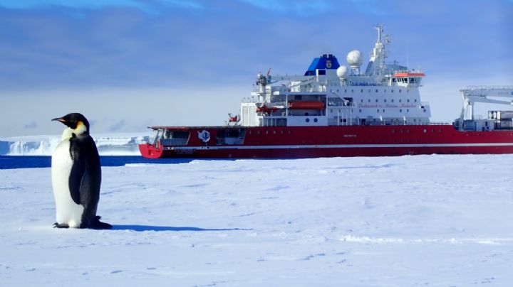 En busca del legendario buque de Ernest Shackleton en la Antártida: la misión para encontrarlo