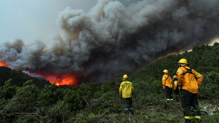 Incendios forestales: cómo continúa la situación en los lagos Martín y Steffen en Bariloche
