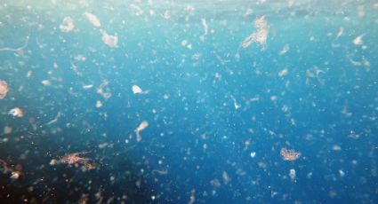 Microplásticos en todos lados: un proyecto británico los halló en aguas subterráneas profundas
