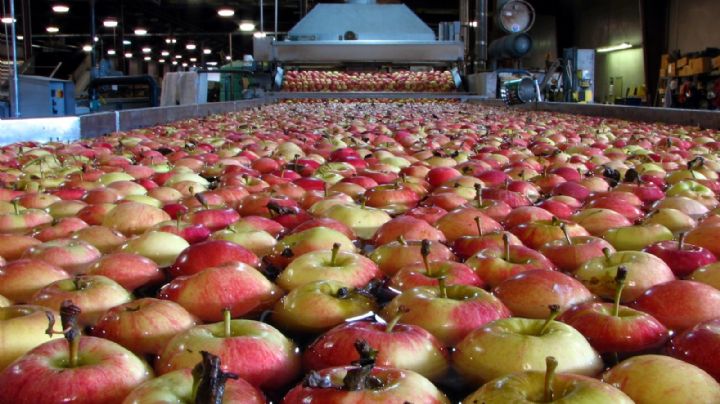 Debido a las sanciones a Rusia, la fruticultura le pedirá una ayuda millonaria al Gobierno nacional
