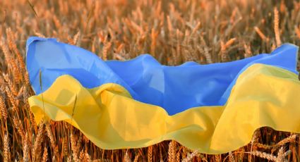 Se necesitan corredores humanitarios para las cosechas en Ucrania: el pedido de la OMC