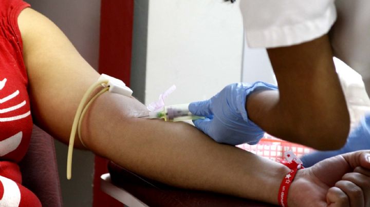 Salud: comienzan las campañas para la donación de sangre