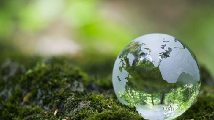 Día de la Tierra: 10 cosas que podés hacer para ayudar a luchar contra el cambio climático