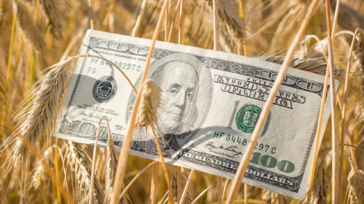 Más de 3.000 millones de dólares: ingresó el aporte agrario del mes de abril