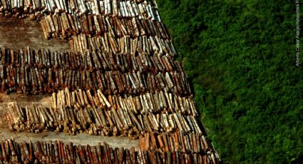 La destrucción de la Amazonia alcanzó un nuevo récord: informe desde Brasil